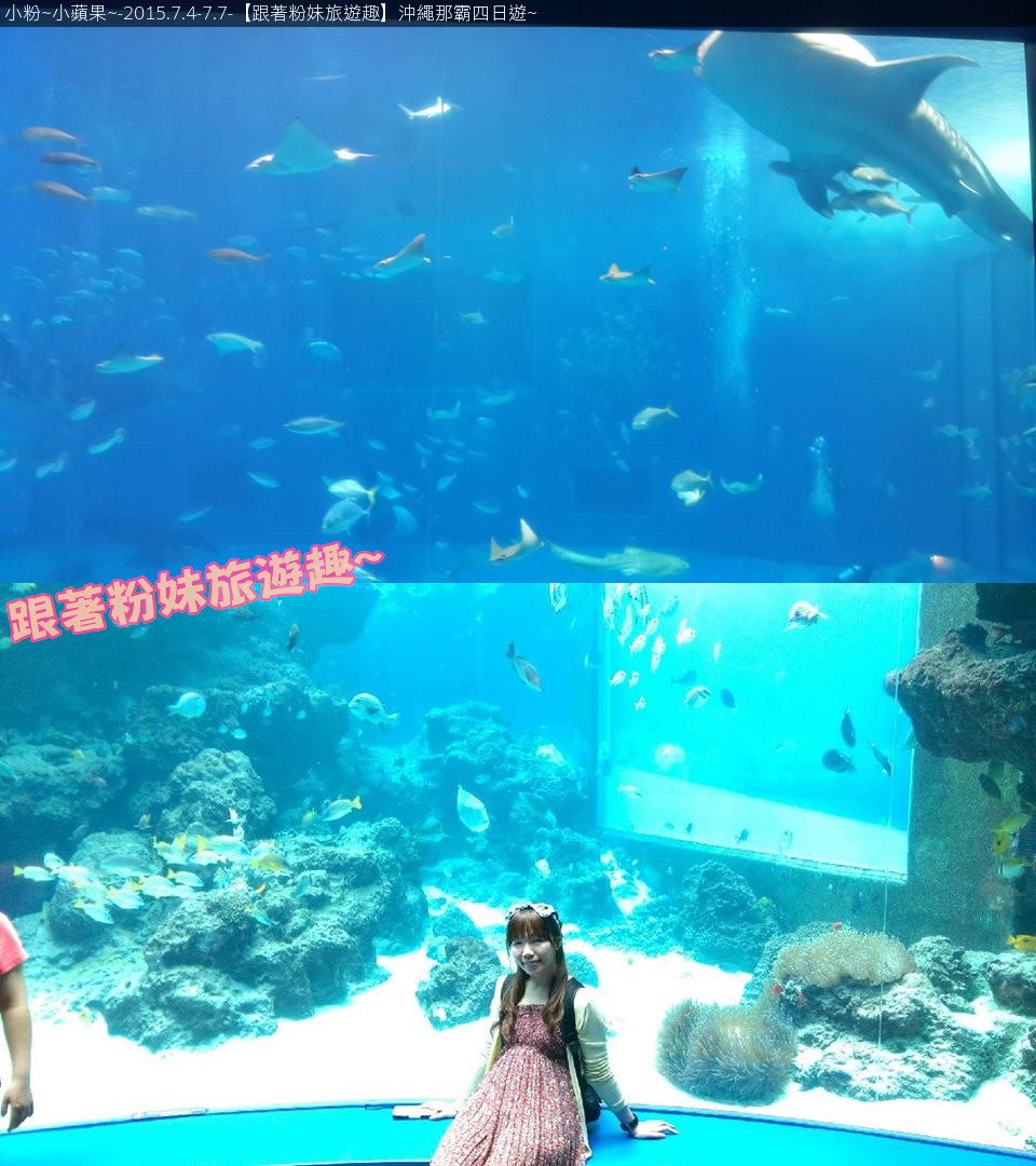 沖繩美麗海水族館04
