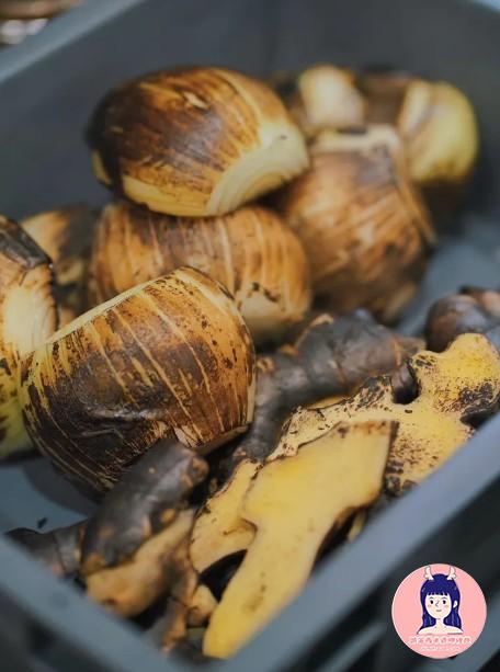 宜蘭羅東Phở Wild 越式生牛肉河粉02